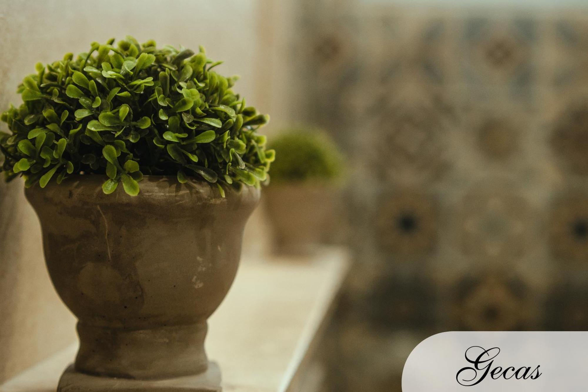 Domus Deianas Apartments Cagliari Dış mekan fotoğraf